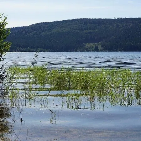 Appartement Ferienwohnung, Schluchsee, Hochschwarzwald